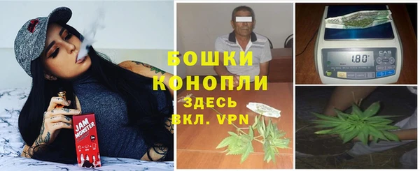 МДПВ Волоколамск