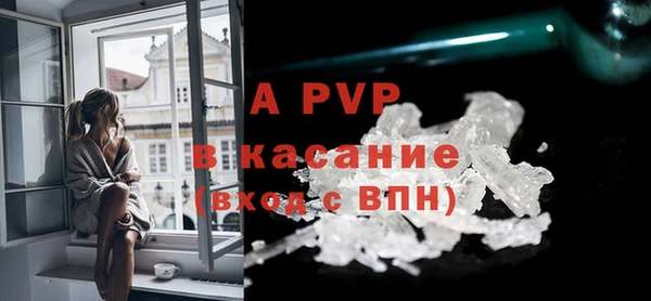сатива Володарск
