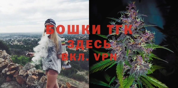 МДПВ Волоколамск