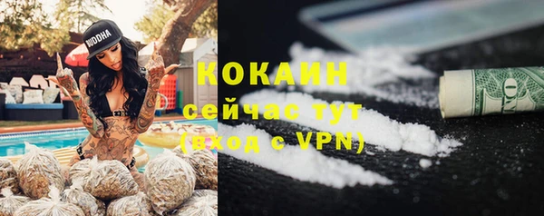 сатива Володарск