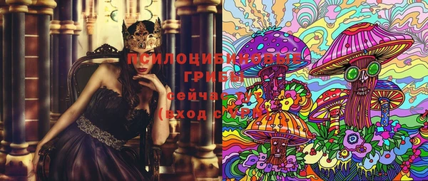 МДПВ Волоколамск