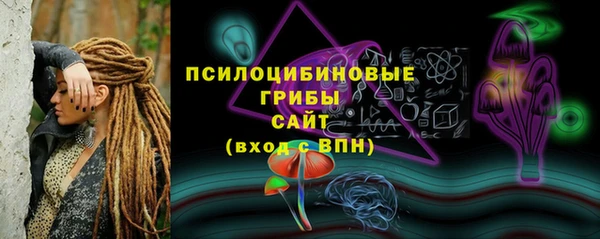 сатива Володарск