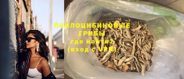 сатива Володарск