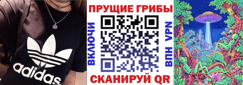 Псилоцибиновые грибы Psilocybe  Копейск 